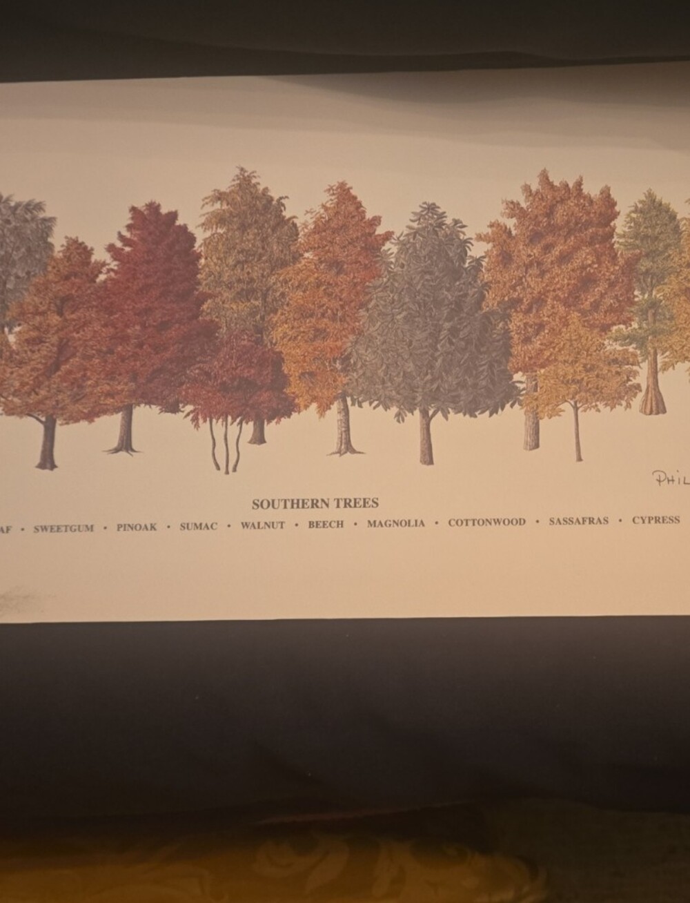 SouthernTrees Art Print in  Fall Colors Signed Phil Ponder.